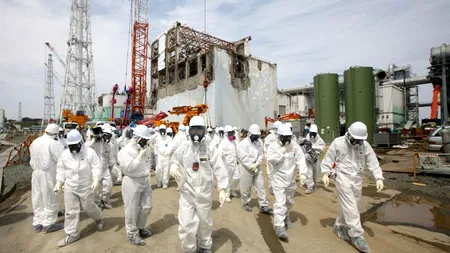 Primele organisme mutante după radiațiile de la Fukushima: 