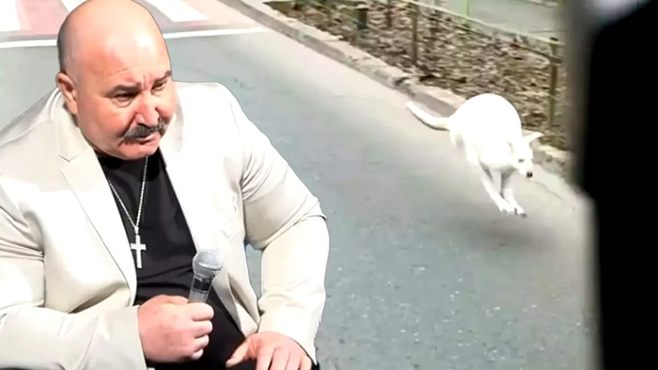 Am aflat cât costă un cangur pitic albinos. Cel al lui Nuțu Cămătaru a devenit vedetă, după ce a fost filmat pe străzile din București