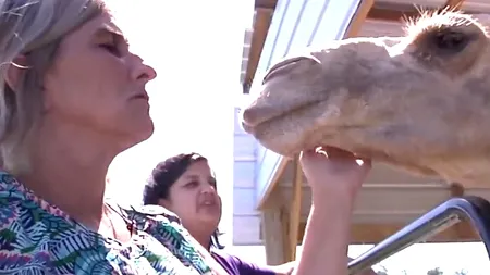 „Stătea pe mine iar ca să scap trebuia să o mușc de...