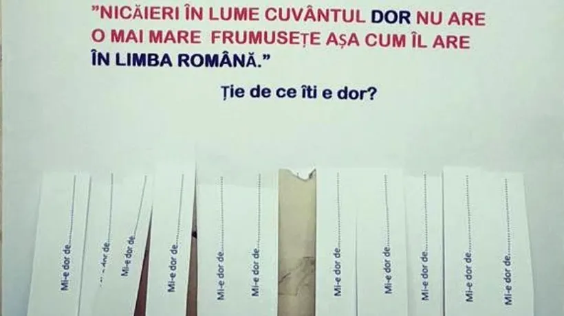 Astăzi România a sărbătorit Ziua Internațională a Dorului. Ascultă aici imnul 