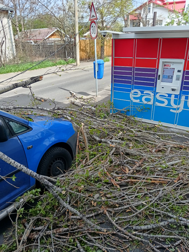  Cod portocaliu de vânt în București: copaci căzuți pe mașini, elemente de construcție în pericol de cădere