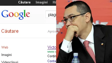 Primul rezultat al căutării 