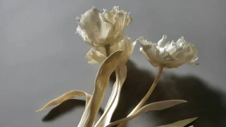 Opere de artă din oase. Cum arată lucrările unei artiste atipice. GALERIE FOTO