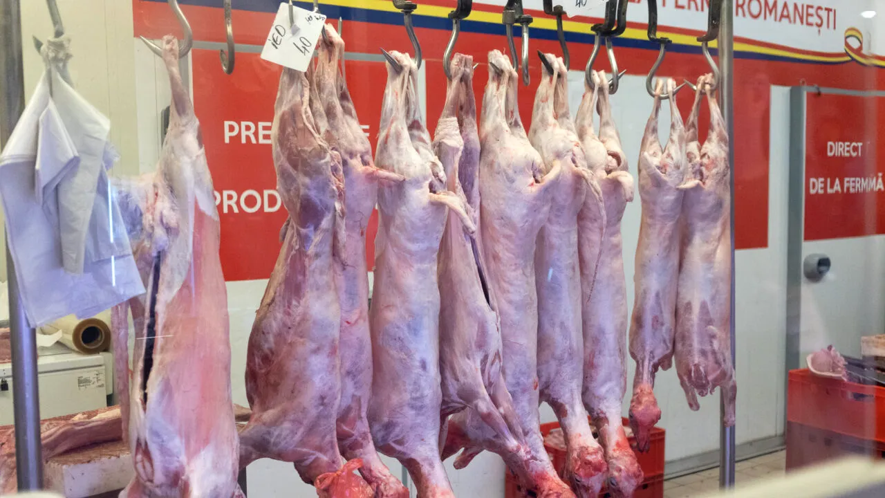 Cu cât se vinde carnea de miel înaintea Paștelui. „Cele mai importante livrări se vor face la vară”