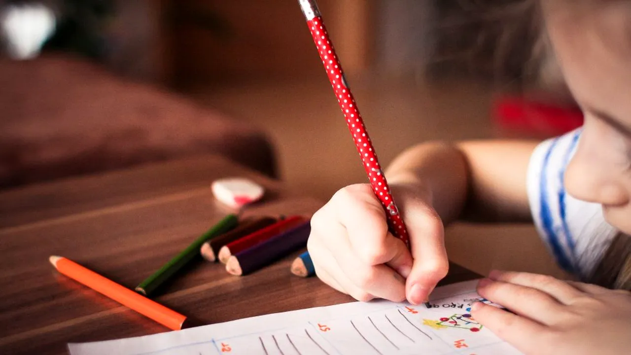 Ligia Deca: Ministerul Educației a lansat în consultare publică proiectul de metodologie și calendarul de înscriere la PREGĂTITOARE