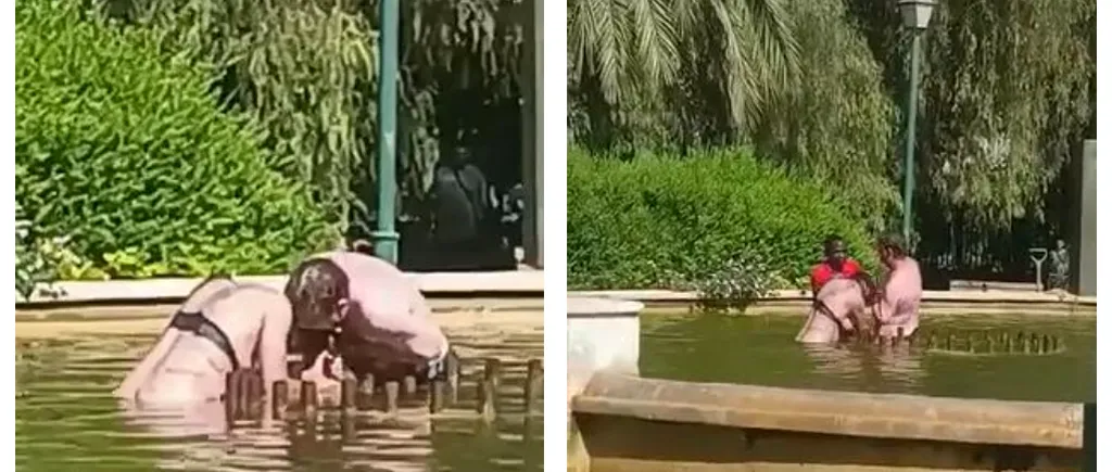 O femeie din Spania a fost la un pas de a muri înecată într-o fântână publică în timp ce era agresată de partenerul ei