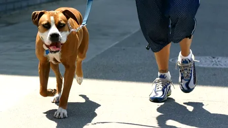 Caz ȘOCANT în Marea Britanie. Un tânăr a fost omorât în bătaie de trei copii de 15 ani. Motivul este ireal