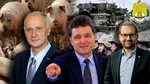 De la fermă, la Ministerul Apărării. USR-istul creditat cu cele mai mari șanse să-l înlocuiască pe Moșteanu a condus până acum o armată de porci