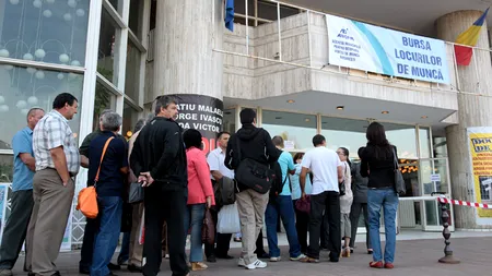 Peste 20.000 de locuri de muncă în toată țara. Lista completă furnizată de ANOFM / În ce domenii de activitate sunt joburile