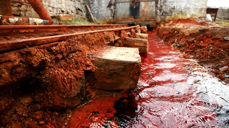 Procuror: RMGC, urmărită penal pentru evaziune fiscală în dosarul în care este arestat Păvăleanu