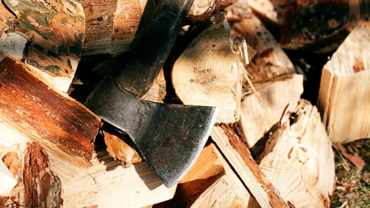 O producție americană de top a fost lansată pe piață. „Superlemnul” este de zece ori mai dur ca oțelul, la nivel celular