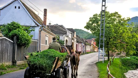 Decizia care a schimbat radical viața unui cuplu de români. Au lăsat în urmă viața agitată a Capitalei pentru liniștea unui SAT din Sibiu
