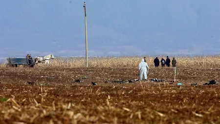 Avion de mici dimensiuni prăbușit peste o casă, lângă Arad. Avionul a rămas agățat în grinzile casei, pilotul a căzut în hol și este mort