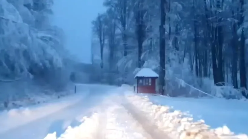 VIDEO | Peisaj de poveste la Straja. Zăpada a ajuns la 30 de centimetri