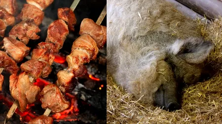Ce este 
