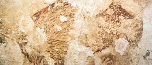 Picturi vechi de 40.000 de ani, descoperite în Indonezia