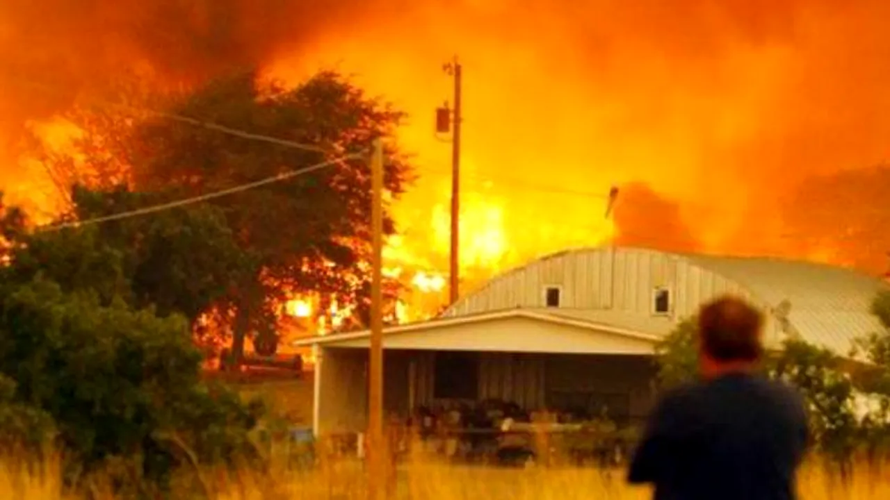 Trei pompieri au murit într-un incendiu de vegetație în SUA