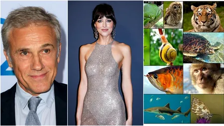 4 OCTOMBRIE, calendarul zilei: Christoph Waltz împlinește 69 de ani, Dakota Johnson 36/ Ziua Mondială a Animalelor