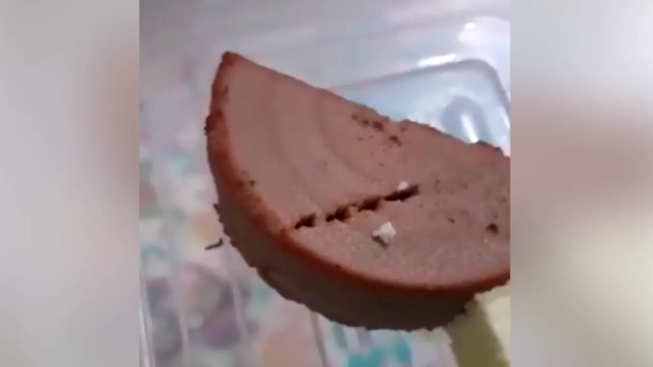 Pâine cu pateu cu VIERMI la cină la Spitalul de Copii din Cluj VIDEO