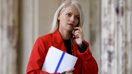 Alina Gorghiu, după raportul Comisiei de la Veneția: „Decizia CCR a fost luată ținând cont de situația excepțională din momentul respectiv”