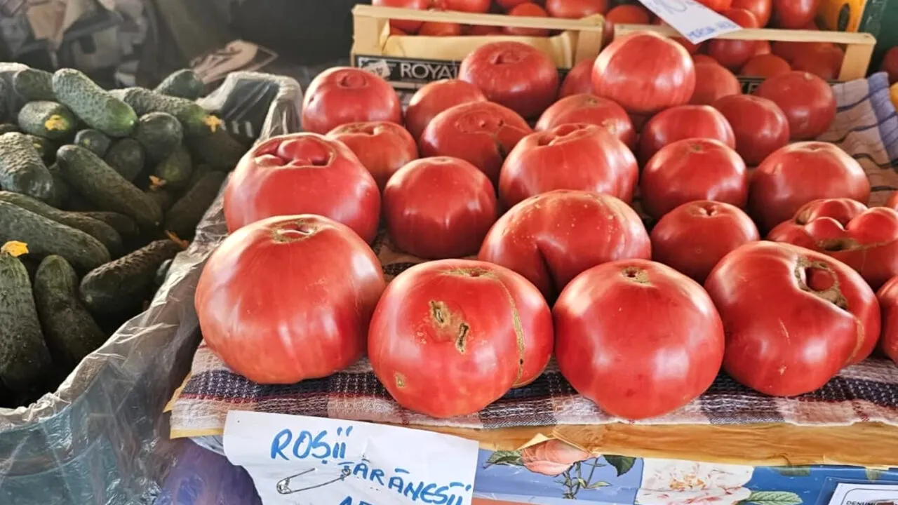 Cu cât se vând roșiile de la țară în piețe, la finalul lui august 2025. „În ritmul ăsta, mâncați doar roșii «ieftine» din lumea largă”