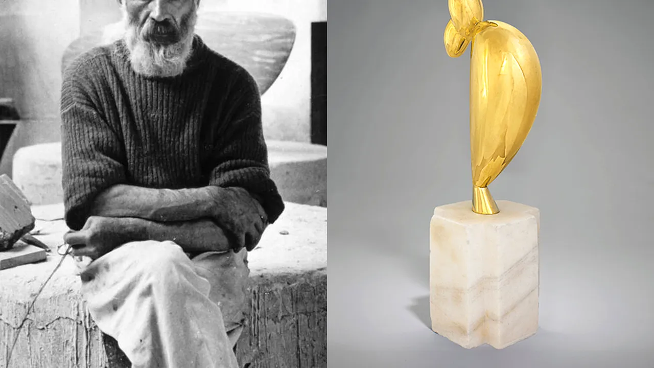 „Tânăra sofisticată