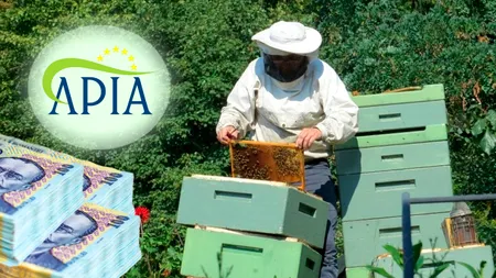 APIA începe plățile către agricultori. Câți bani primesc apicultorii începând de azi