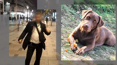 Presupusul ZOOFIL de la Hunedoara, declarații halucinante în instanță. Ce le-a putut spune magistraților