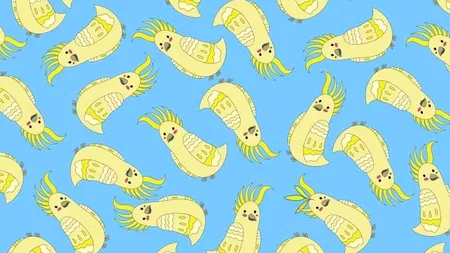 Test IQ | Găsește în 7 secunde frunza ascunsă în imagine