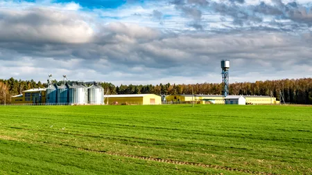 Tot mai mulți români RENUNȚĂ la locurile de muncă din străinătate. Domeniul care este mai bine plătit în țara noastră