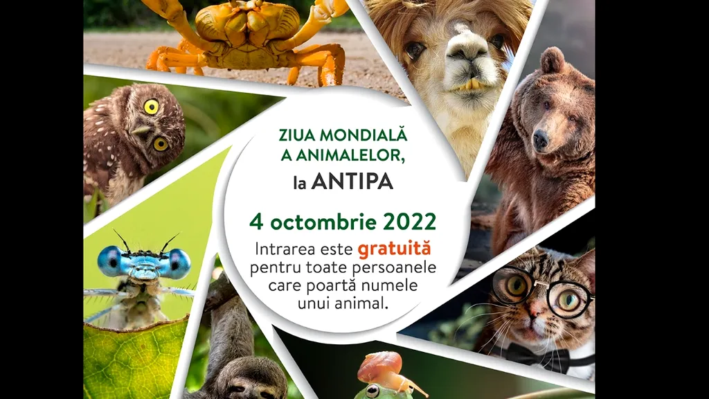 Oferta Muzeului Antipa pentru Ziua Internațională a Animalelor a stârnit reacții savuroase pe internet. „Răzvan-Nicușor Balaur: Numele meu se pune?”