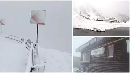 Iarnă în toată regula pe Transalpina! La Rânca ninge abundent și s-a depus strat de zăpadă! Vezi imagini superbe în Galerie FOTO și VIDEO!
