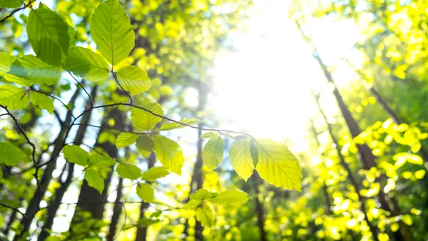 Anunț: S.C. MASTERANGE ROMANIA S.R.L anunță publicul asupra depunerii solicitării de obținere a avizului de mediu și declanșarea etapei de încadrare