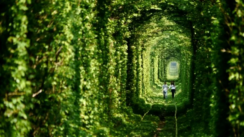 GALERIE FOTO. ''Tunelul dragostei'', unul dintre cele mai romantice locuri din lume