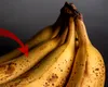 Unde să pui bananele ca să nu-și schimbe culoarea. Truc util pentru a evita înnegrirea fructului