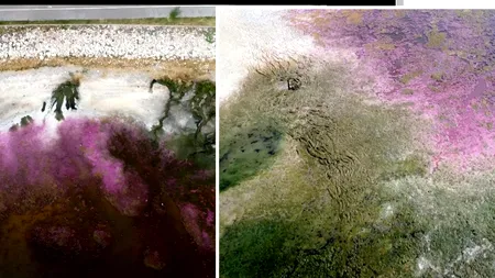 FOTO. Lacul din România care a devenit ROZ peste noapte! Unde se află și ce s-a întâmplat, de fapt