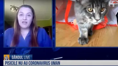 GÂNDUL LIVE. Cristina Porumb, medic veterinar: Nu există dovezi că animalele de companie pot transmite coronavirusul! - VIDEO