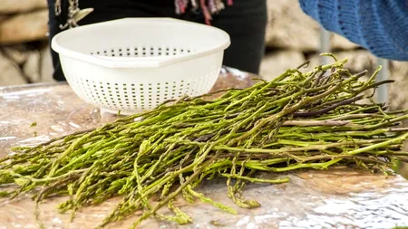 TRAGIC. Al doilea român, mort la cules de sparanghel în Germania. Ce scrie presa germană despre românul decedat