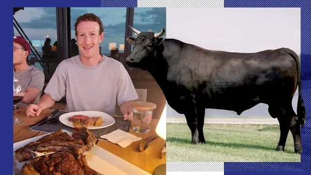 Fondatorul Facebook, Mark Zuckerberg, investiție neașteptată: „Am început să cresc VACI. Din toate proiectele mele, acesta este cel mai delicios”