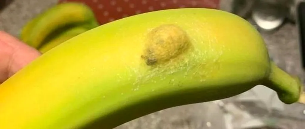 O femeie a rămas șocată când a văzut ce se afla în interiorul unei banane pe care a luat-o de la supermarket