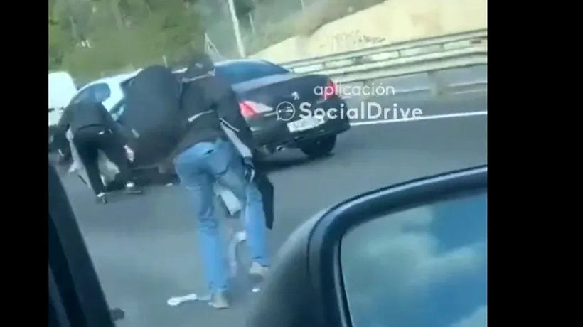 Blocaj în trafic după ce „A PLOUAT CU BANI” dintr-o mașină pe o autostradă din Spania. Ce a urmat după incident