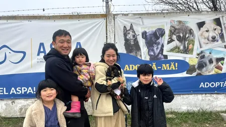 O familie de japonezi din România a adoptat un cățel dintr-un adăpost de la marginea Capitalei