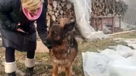 CĂȚELUȘA-eroină din Piatra Neamț. Patrupedul a prevenit INCENDIUL într-o biserică