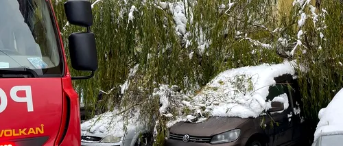 FOTO - Un copac a căzut peste trei mașini parcate pe o stradă din Suceava