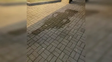 Un bărbat beat a încercat să își dea foc în fața primăriei din Râmnicu Vâlcea. A devenit agresiv în prezența echipei medicale, așa că a fost imobilizat - VIDEO