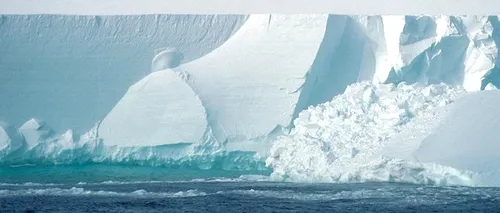 Ce au descoperit cercetătorii sub gheața din Antarctica, unde teoretic nu există forme de viață