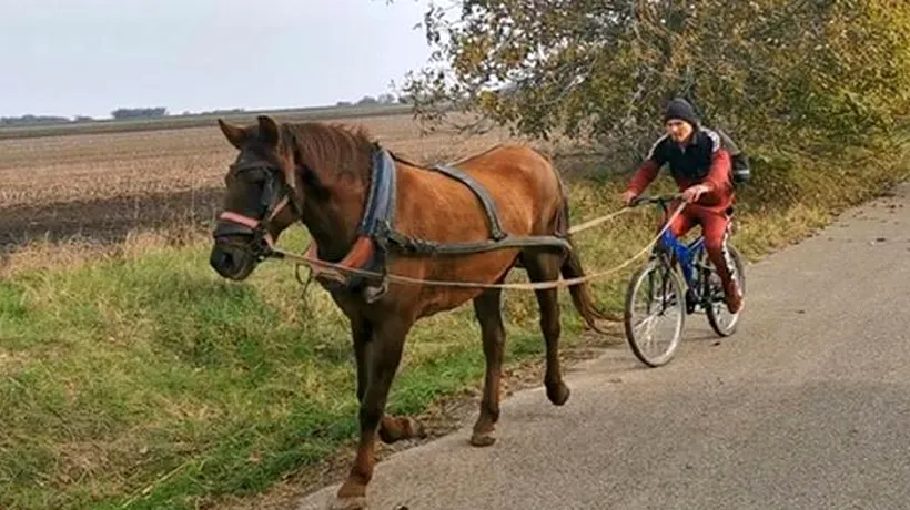Imaginația unui vasluian nu are limite! A inventat bicicleta trasă de cal, pe care a inaugurat-o pe drumurile din jurul comunei. VIDEO FABULOS