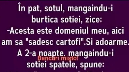 Bancul de sâmbătă | Acesta este domeniul meu!