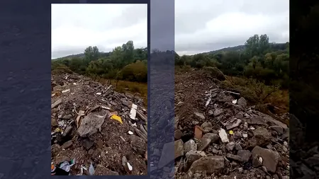 O zonă pitorească din Câmpina a fost transformată în GROAPĂ de gunoi. Asociația 