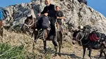 Gigi Becali, surprins călare pe un măgar în timpul celui mai recent pelerinaj pe Muntele Athos. 1.000 de euro l-a costat ca să ajungă primul în vârful muntelui